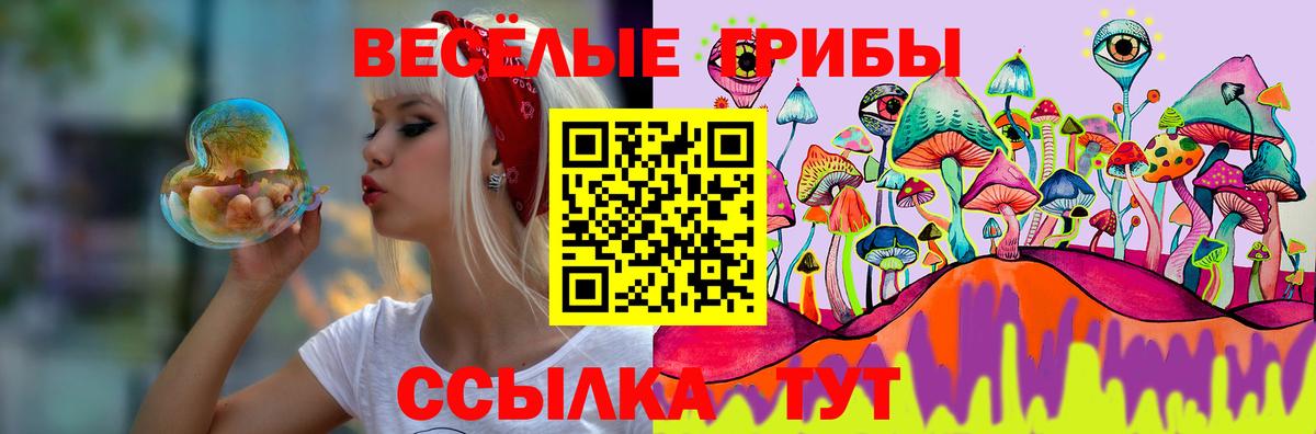 Галлюциногенные грибы Psilocybine cubensis  Вход с VPN  Лесной  Галлюциногенные грибы MAGIC MUSHROOMS 