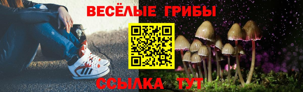 Псилоцибиновые грибы мицелий Лесной